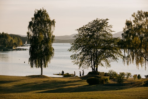Stranda på Fornebu med trær foran og folk på vei ned til sjøen for å padle i kajakk.
