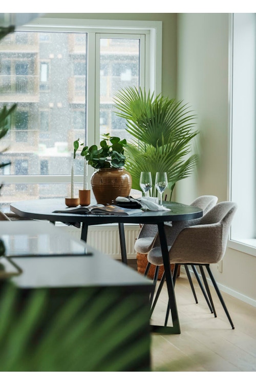 Sort spisebord med lyse velur stoler og grønne planter i MIDT.