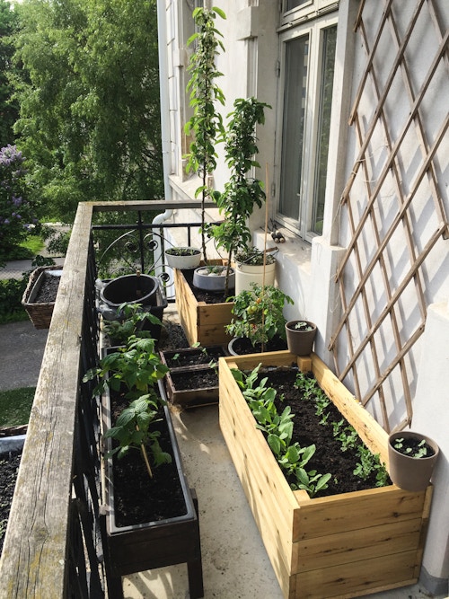 Plantekasser på en liten balkong