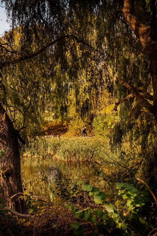Illustrasjonsfoto av en park i høstfarger.