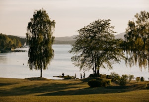 Stranda på Fornebu med trær foran og folk på vei ut til å padle i kajakk.